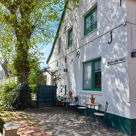 Auster Apartament